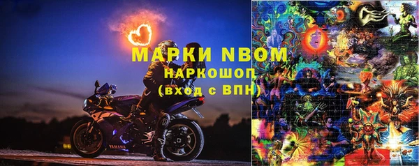 хмурый Ельня